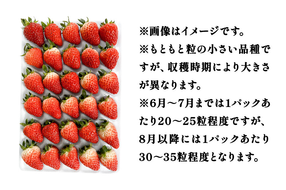 夏イチゴ「秋田夏響」 生 20〜35粒詰め合わせ×2パック  いちご 苺 なつひびき [果物 フルーツ 苺 イチゴ いちご]