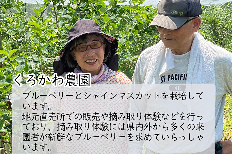 くろかわ農園 ブルーベリー 2kg（500g×4パック）摘みたて 秋田県美郷町 [摘みたて ブルーベリー 新鮮 その他のフルーツの返礼品]