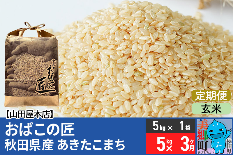 《定期便3ヶ月》令和7年産 おばこの匠 秋田県産あきたこまち 5kg×3回 計15kg（玄米）5kg袋 秋田こまち お米