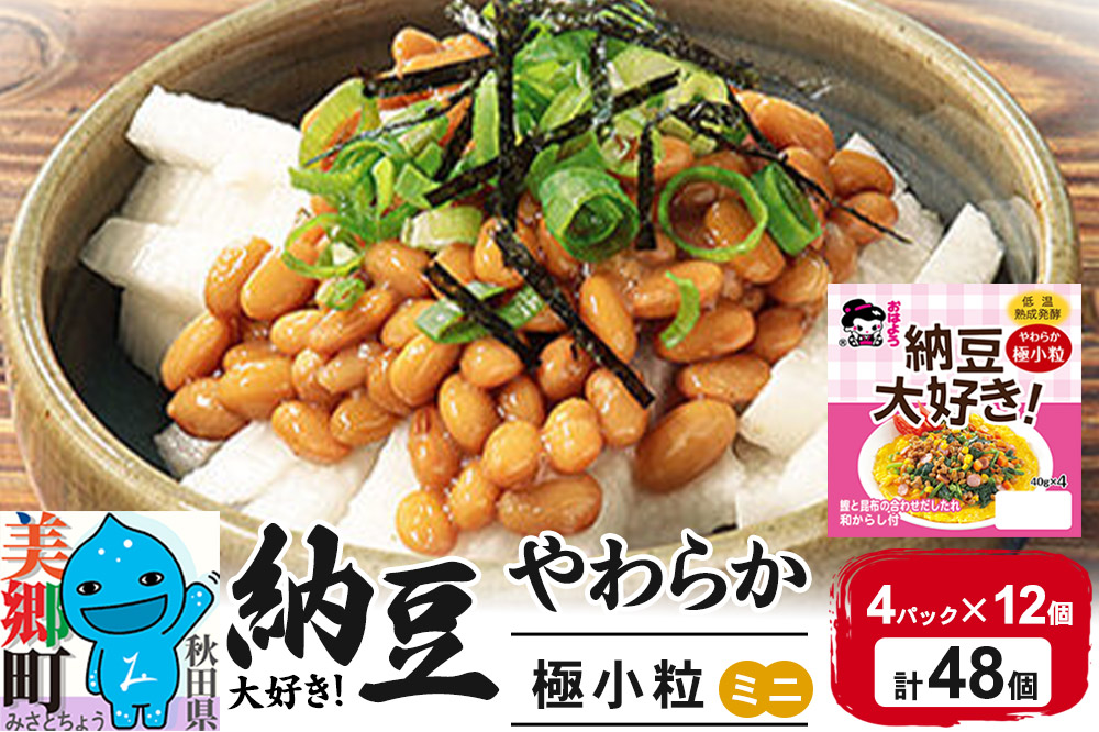 ヤマダフーズ 納豆大好きやわらか 極小粒 ミニ 4パック×12個（計48個）