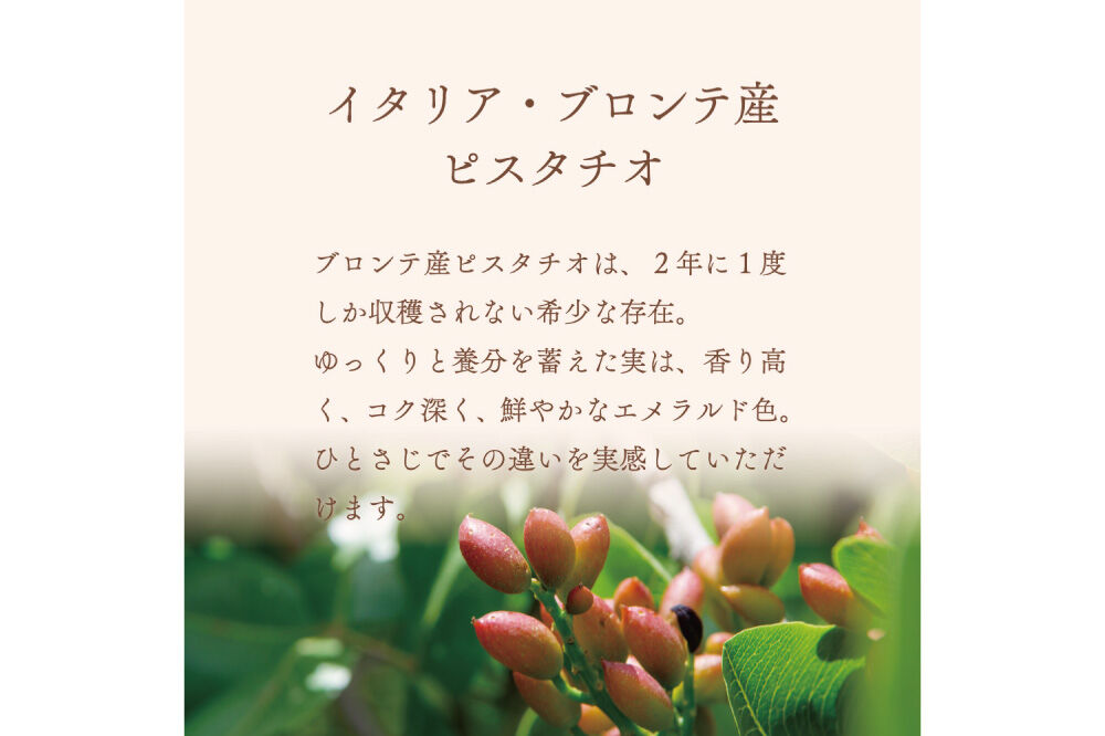 ジェラテリア TiG（ティグ）イタリアンジェラート 無着色・無香料 イタリアンピスタチオプレミアム 2000ml（2L） [無着色 無香料 イタリア産 シチリア産 高品質 ピスタチオ]