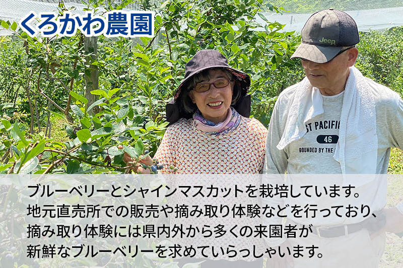 くろかわ農園 冷凍ブルーベリー 1kg（500g×2パック） 秋田県美郷町 [摘みたて ブルーベリー 新鮮 その他のフルーツの返礼品]