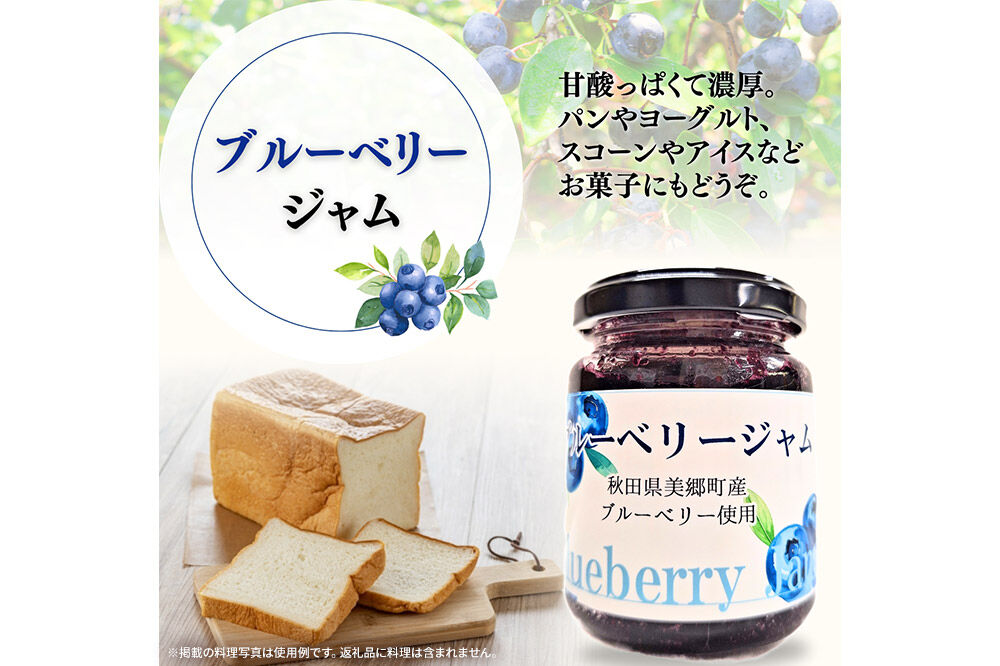 湧水の郷ブルーベリーセット 5点 （バルサミコ酢、ドレッシング、ジャム、ケチャップ、ブルーベリー塩） [秋田 美郷町 バルサミコ ビネガー ギフト ドレッシング 調味料 ジャム フルーツ 果実 果物]