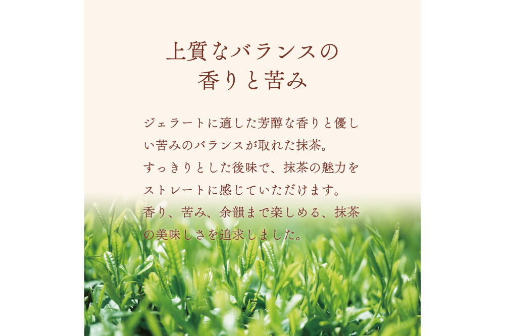 ジェラート ジェラテリア TiG（ティグ）イタリアンジェラート 京抹茶 2000ml (2L) 大容量 無着色 無香料 秋田 美郷町 [無着色 無香料 国産 秋田県産 抹茶 本格ジェラート]