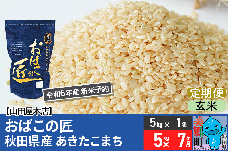 【玄米】＜令和6年産 新米予約＞《定期便7ヶ月》おばこの匠 秋田県産あきたこまち 5kg×7回 計35kg 7か月 7ヵ月 7カ月 7ケ月 秋田こまち お米