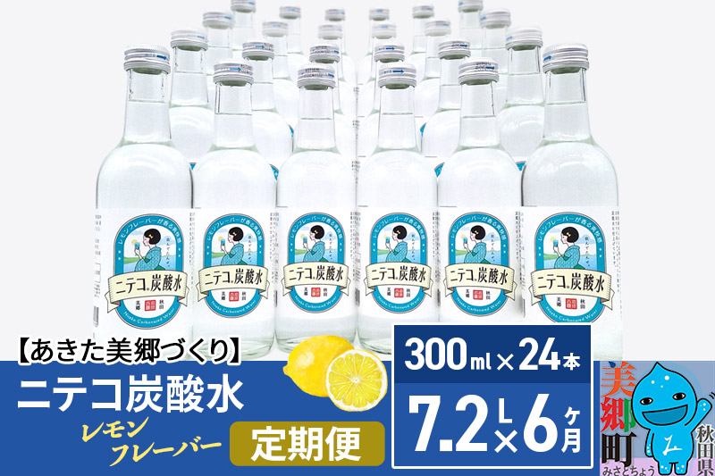 《定期便6ヶ月》ニテコ炭酸水(レモン) 300ml×24本入 「水の郷」の炭酸水 ご当地炭酸水