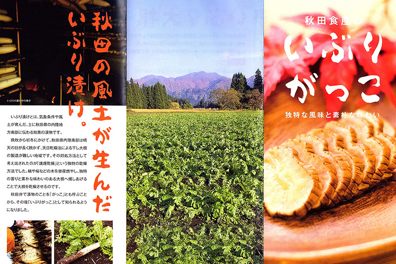 いぶりがっこ きざみ (2パック)、スライス (2パック) ゆうパケット