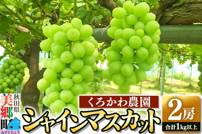 【期間限定】シャインマスカット 2房(合計1kg以上) 9月下旬よりお届け