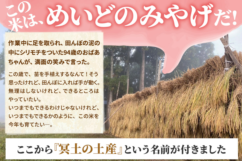 【白米】令和7年産 冥土の土産 10kg（10kg×1袋）美郷町産あきたこまち