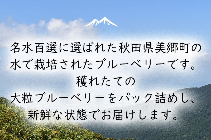 くろかわ農園 ブルーベリー 2kg（500g×4パック）