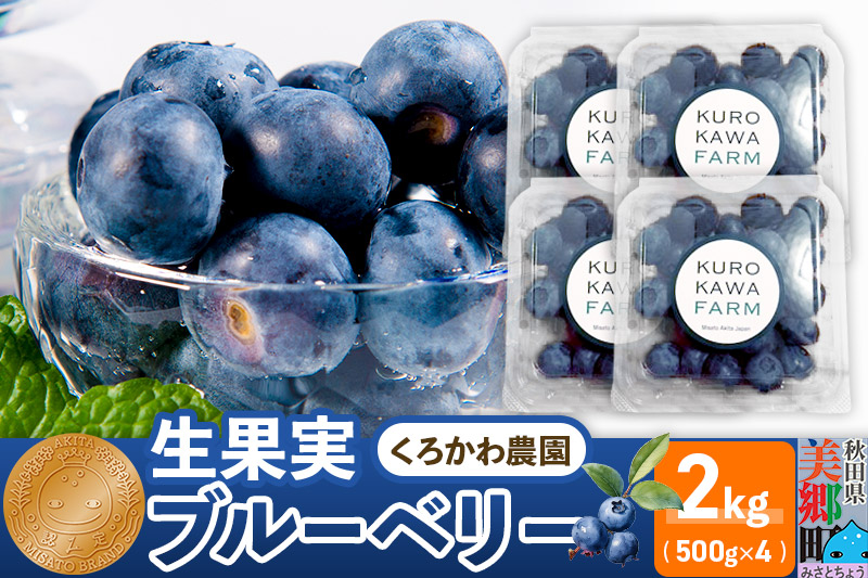 くろかわ農園 ブルーベリー 2kg（500g×4パック）