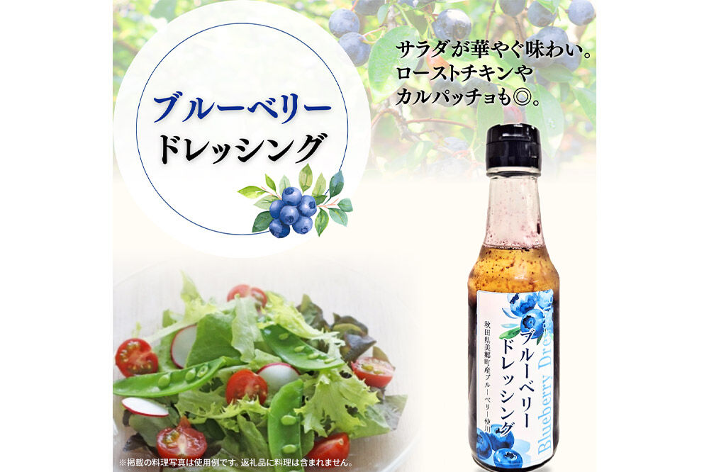 湧水の郷ブルーベリーセット 5点 （バルサミコ酢、ドレッシング、ジャム、ケチャップ、ブルーベリー塩） [秋田 美郷町 バルサミコ ビネガー ギフト ドレッシング 調味料 ジャム フルーツ 果実 果物]