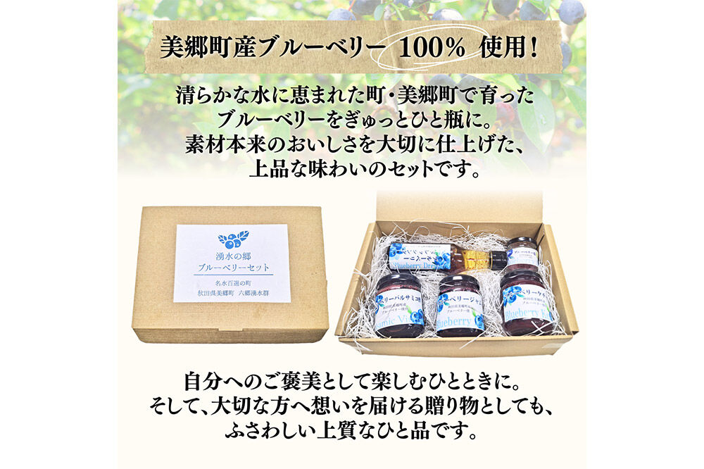 湧水の郷ブルーベリーセット 5点 （バルサミコ酢、ドレッシング、ジャム、ケチャップ、ブルーベリー塩） [秋田 美郷町 バルサミコ ビネガー ギフト ドレッシング 調味料 ジャム フルーツ 果実 果物]