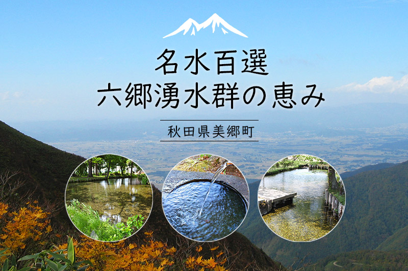 《定期便6ヶ月》ニテコ炭酸水(レモン) 300ml×24本入 「水の郷」の炭酸水 ご当地炭酸水