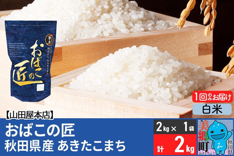 令和7年産 おばこの匠 秋田県産あきたこまち 2kg（白米）2kg袋 秋田こまち お米