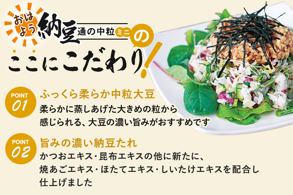 ヤマダフーズ おはよう納豆通の納豆中粒 ミニ 3パック×12個（計36個）