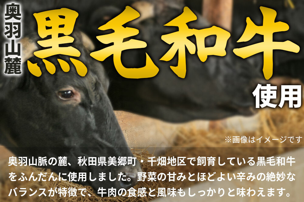 美郷町産黒毛和牛のキーマカレー2個入 あきた美郷づくり [カレー キーマカレー レトルト 2個 秋田 詰め合わせ]