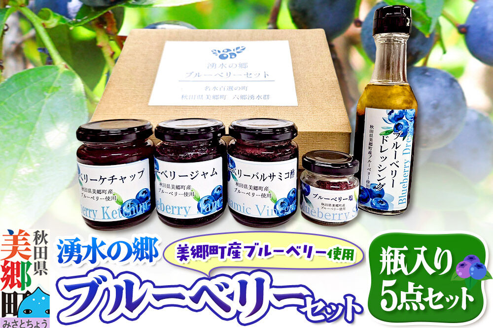 湧水の郷ブルーベリーセット 5点 （バルサミコ酢、ドレッシング、ジャム、ケチャップ、ブルーベリー塩） [秋田 美郷町 バルサミコ ビネガー ギフト ドレッシング 調味料 ジャム フルーツ 果実 果物]