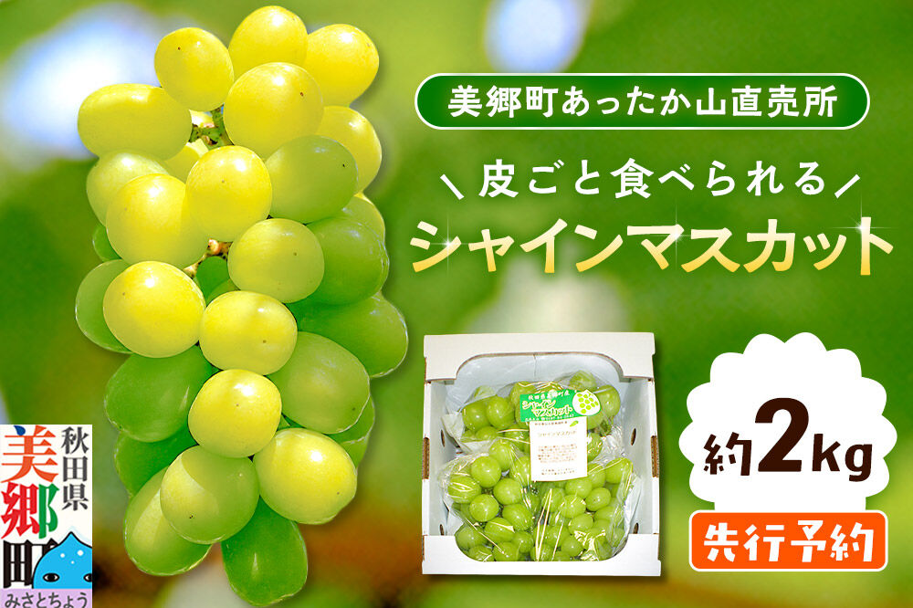 【先行受付】シャインマスカット 約2kg [ぶどう 葡萄 ブドウ シャインマスカットの返礼品]