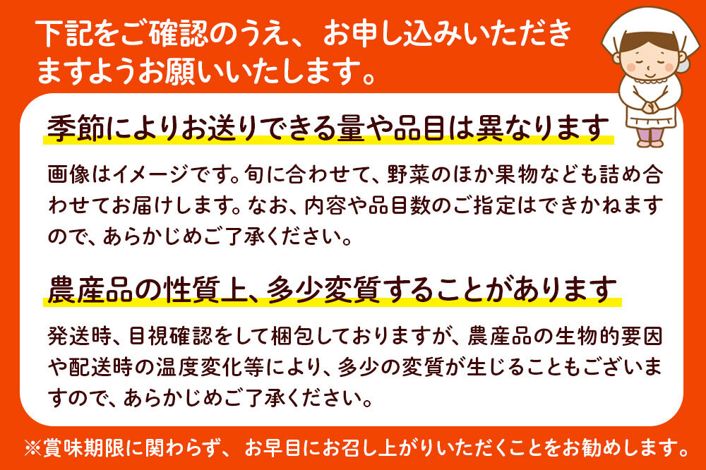 季節の産直詰め合わせ 野菜 山菜 果物 フルーツ お菓子 など [産直 野菜 詰め合わせ 山菜 果物 お菓子 おまかせ お任せ]