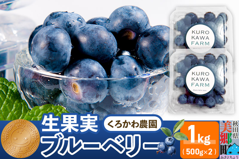 くろかわ農園 ブルーベリー 1kg（500g×2パック）