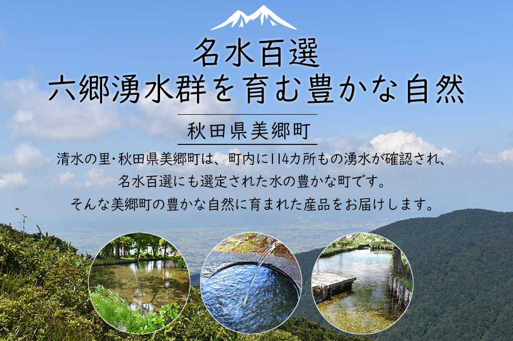 季節の産直詰め合わせ 野菜 山菜 果物 フルーツ お菓子 漬物 など