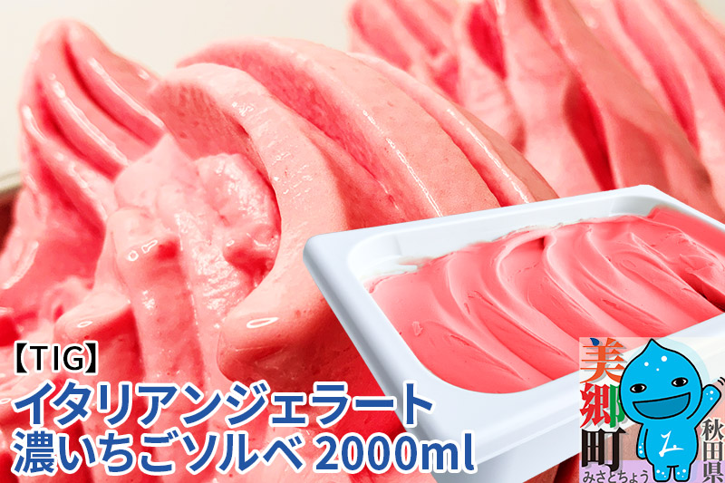 ジェラテリア TiG（ティグ）イタリアンジェラート 無着色・無香料 濃いちごソルベ 2000ml（2L）