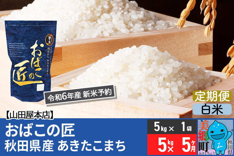 【白米】＜令和6年産 新米予約＞《定期便5ヶ月》おばこの匠 秋田県産あきたこまち 5kg×5回 計25kg 5か月 5ヵ月 5カ月 5ケ月 秋田こまち お米