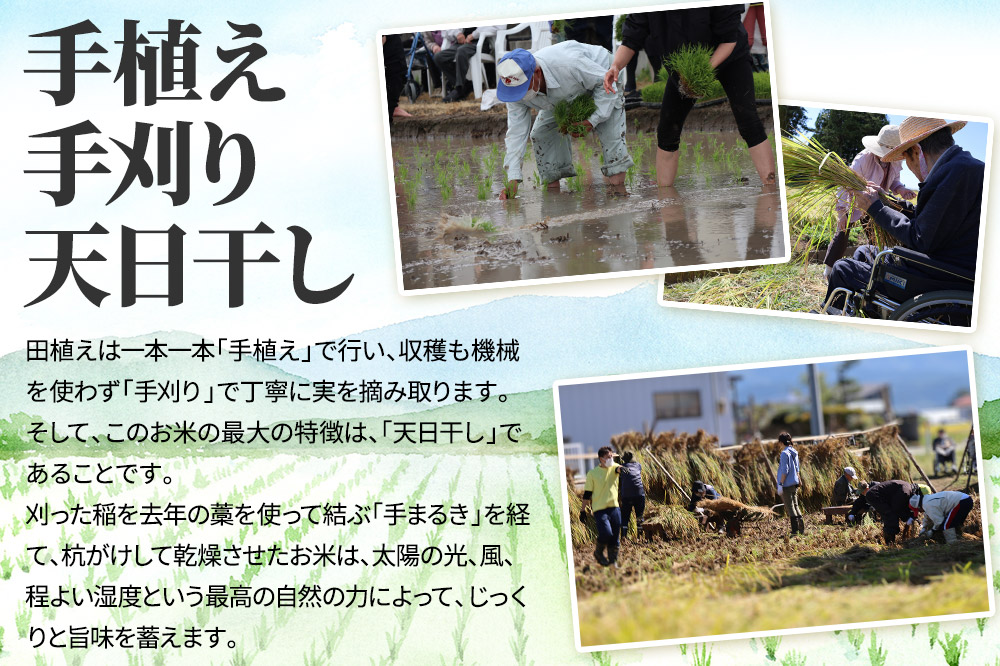 【白米】令和7年産 冥土の土産 4kg（2kg×2袋）美郷町産あきたこまち