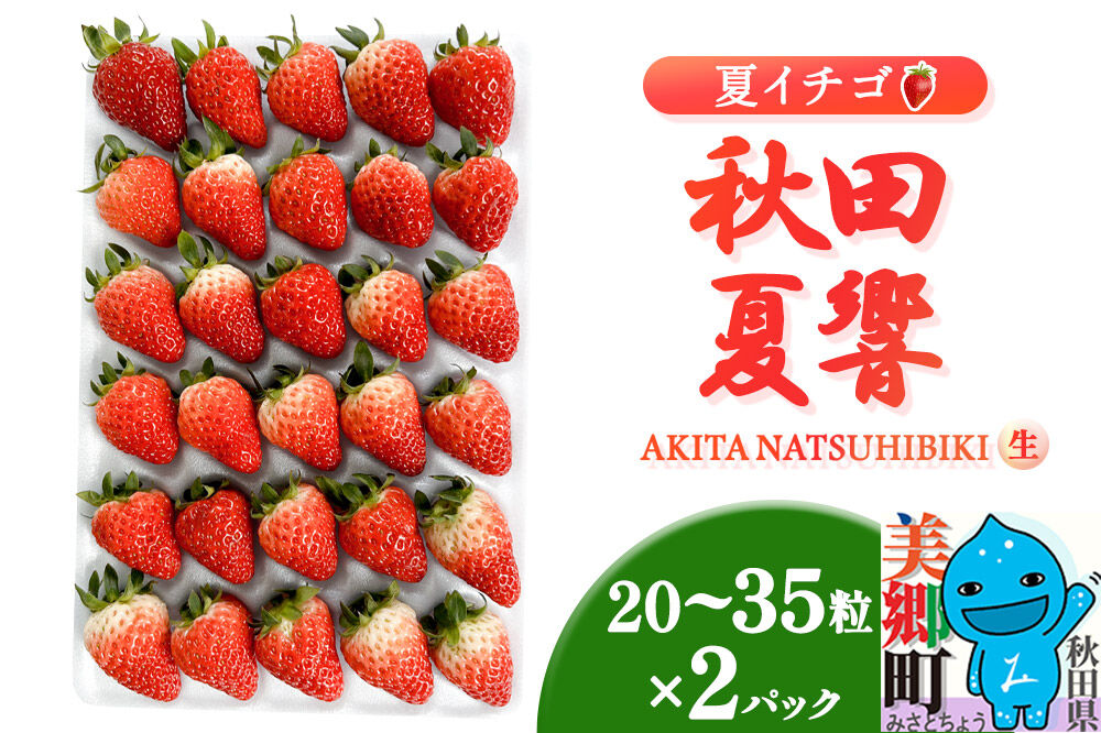 夏イチゴ「秋田夏響」 生 20〜35粒詰め合わせ×2パック  いちご 苺 なつひびき [果物 フルーツ 苺 イチゴ いちご]