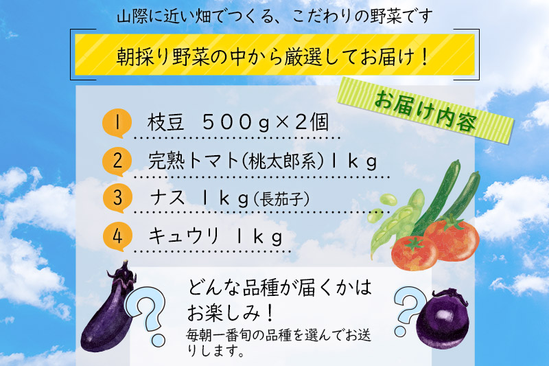 朝採り！夏野菜詰め合わせセット 4kg (トマト きゅうり なす 枝豆)
