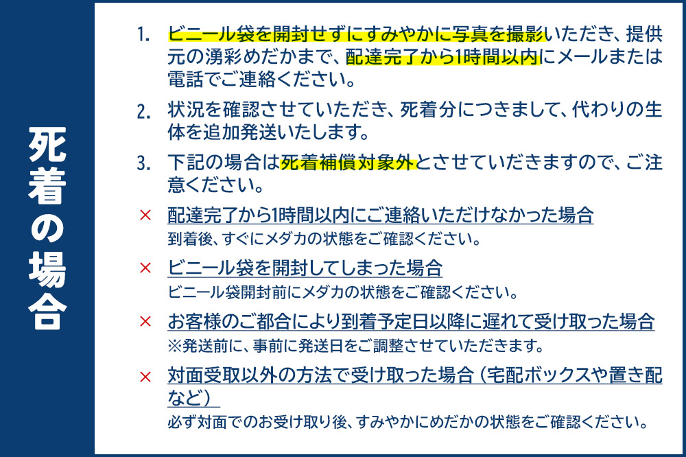 めだか ミックス 12匹 メダカ 生体 観賞用 魚 ペット 観賞魚
