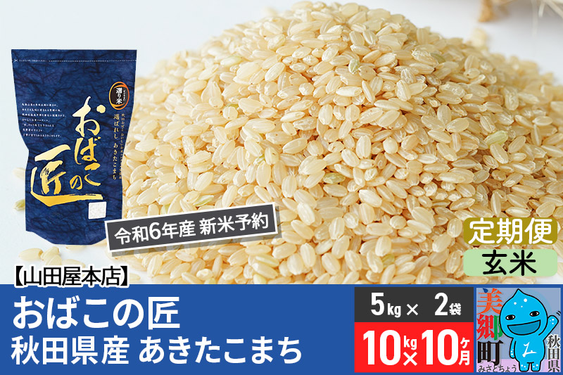 【玄米】＜令和6年産 新米予約＞《定期便10ヶ月》おばこの匠 秋田県産あきたこまち 10kg×10回 計100kg 10か月 10ヵ月 10カ月 10ケ月 秋田こまち お米