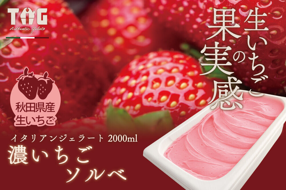 ジェラテリア TiG（ティグ）イタリアンジェラート 無着色・無香料 濃いちごソルベ 2000ml（2L） [無着色 無香料 国産 秋田県産 イチゴ いちご 果物 フルーツ]