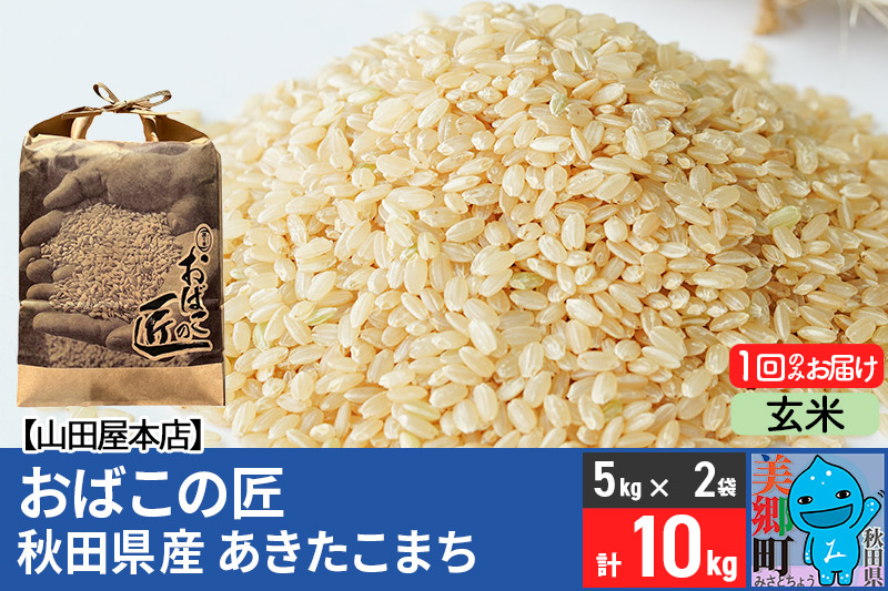 令和7年産 おばこの匠 秋田県産あきたこまち 10kg（玄米）5kg袋 秋田こまち お米
