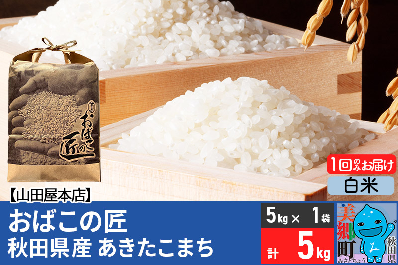 令和7年産 おばこの匠 秋田県産あきたこまち 5kg（白米）5kg袋 秋田こまち お米