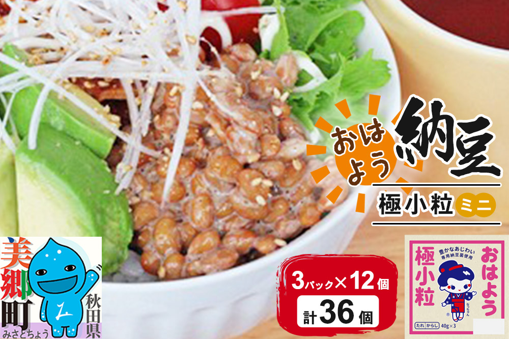 ヤマダフーズ おはよう 極小粒 ミニ 3パック×12個（計36個）