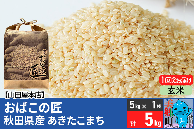 令和7年産 おばこの匠 秋田県産あきたこまち 5kg（玄米）5kg袋 秋田こまち お米