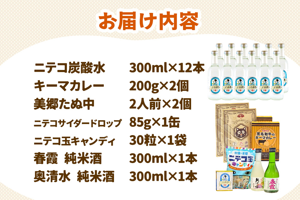 炭酸飲料 ニテコ炭酸水12本と美郷の美味しいものセット
