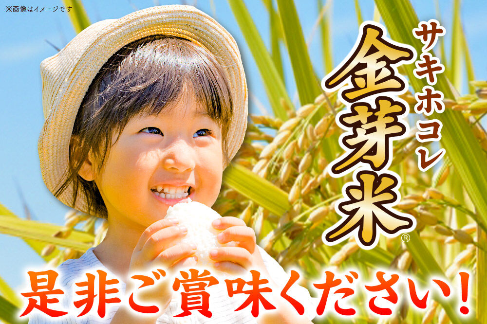 ã什å7å¹Žç£ çœç±³ãéèœç±³ ãµããã³ã¬ 10kgïŒ5kgÃ2è¢ïŒ çç±³ã®æ é€ãæ®ããçœç±³ ãšããã«ç°¡åç飯 ããããŸã