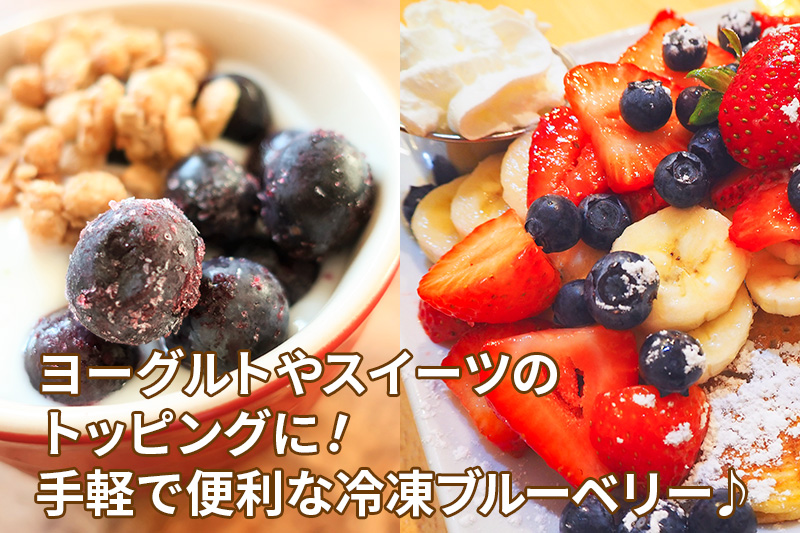 くろかわ農園 冷凍ブルーベリー 1kg（500g×2パック） 秋田県美郷町 [摘みたて ブルーベリー 新鮮 その他のフルーツの返礼品]