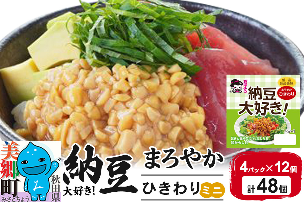 ヤマダフーズ 納豆大好きまろやか ひきわり ミニ 4パック×12個（計48個）