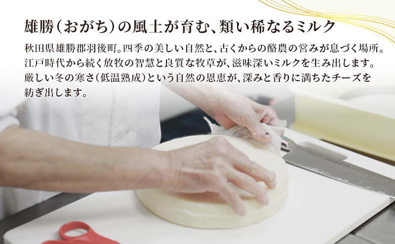 秋田 羽後 チーズアソート3種4個/熟成セット［明通りチーズ工房］カマンベールウォッシュ・アヴァ（オリジナル）2種【 チーズ アソート 詰合せ セット バラエティ カマンベール 乳製品 ワイン 麦酒 ビール 酒  食べ比べ 】