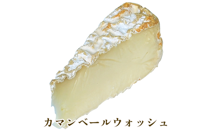 秋田の酪農家が手づくり！明通りチーズ満腹セット 計8種17個