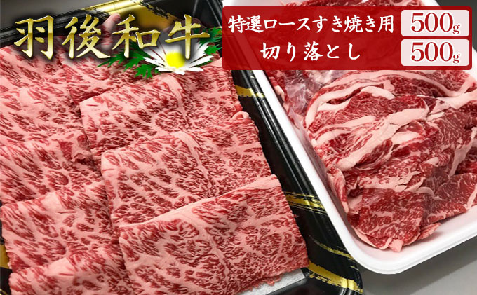 羽後和牛特選ロースすき焼き用500g+羽後和牛切り落とし500g 計1kg