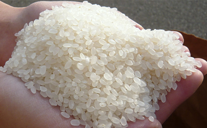 美少女イラスト 粒がひと回り大きい 高品質米 あきたこまち 300g（2合）×8袋