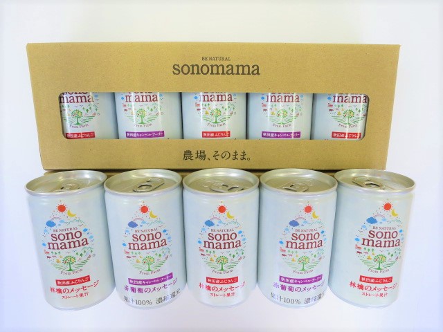 「sonomama」ミックス（160g×10本）