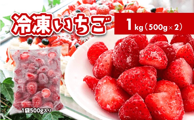 秋田県 羽後町産  冷凍いちご 1kg（500g×2）国産 イチゴ ジャム スムージー お菓子づくり 果物 フルーツ 冷凍果物 冷凍フルーツ そのまま トッピング フローズンイチゴ ストロベリー
