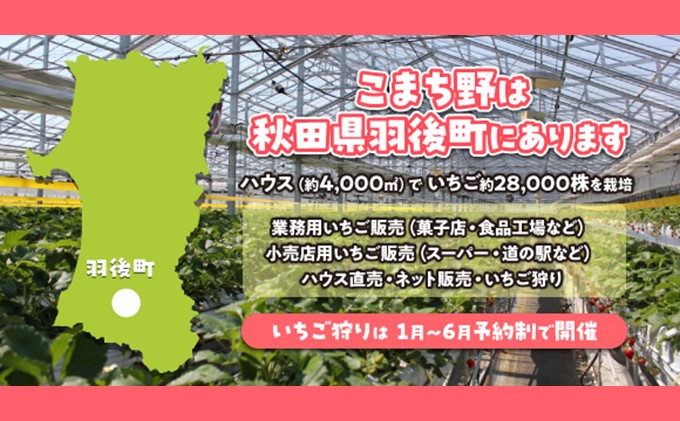 秋田県 羽後町産  冷凍いちご 1kg（500g×2）国産 イチゴ ジャム スムージー お菓子づくり 果物 フルーツ 冷凍果物 冷凍フルーツ そのまま トッピング フローズンイチゴ ストロベリー 