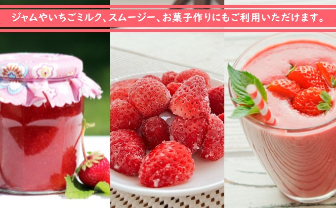 秋田県 羽後町産  冷凍いちご 1kg（500g×2）国産 イチゴ ジャム スムージー お菓子づくり 果物 フルーツ 冷凍果物 冷凍フルーツ そのまま トッピング フローズンイチゴ ストロベリー 